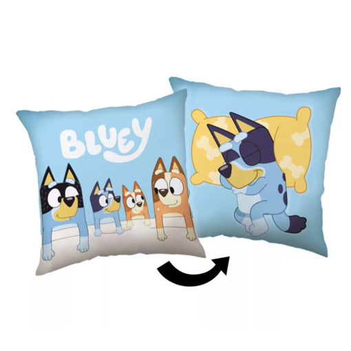 Picture of BLUEY CUSHION 40X40CM